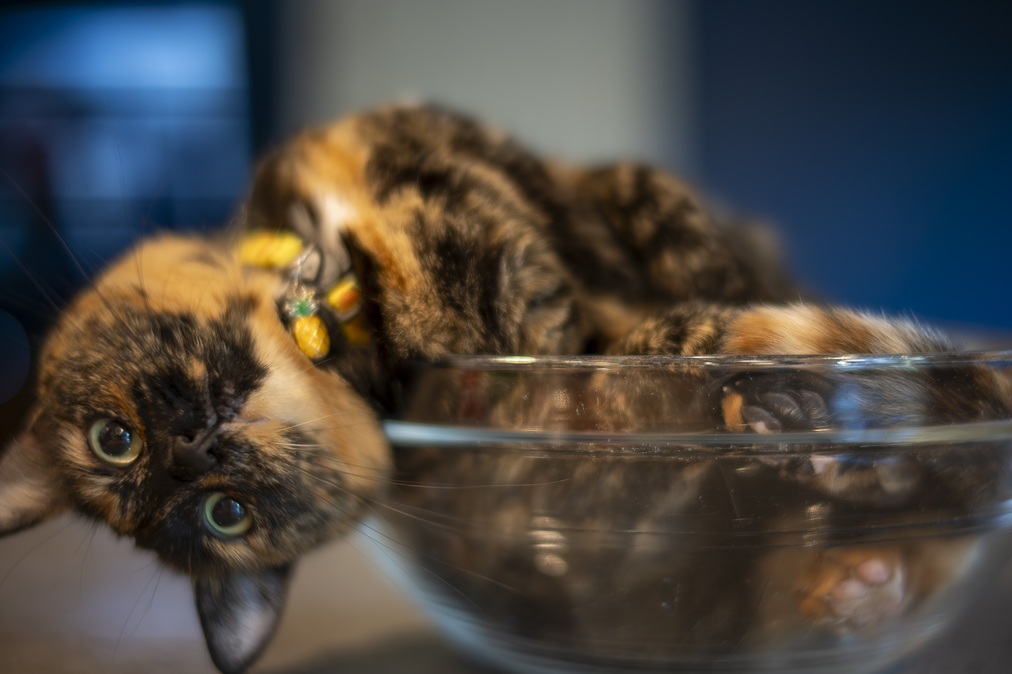 DSC_0502.jpg
