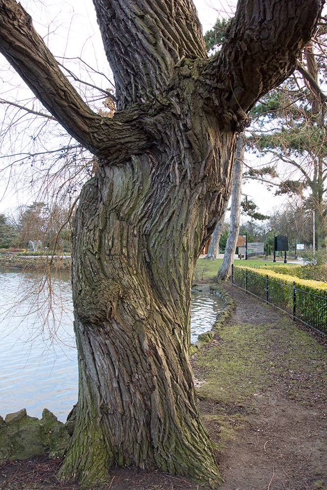 DSC_0503.jpg