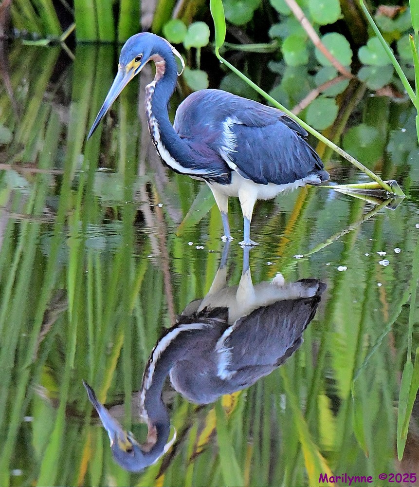 DSC_0504_001.JPG