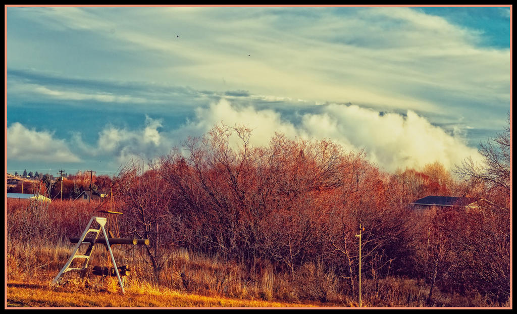 DSC_0506-Edit.jpg