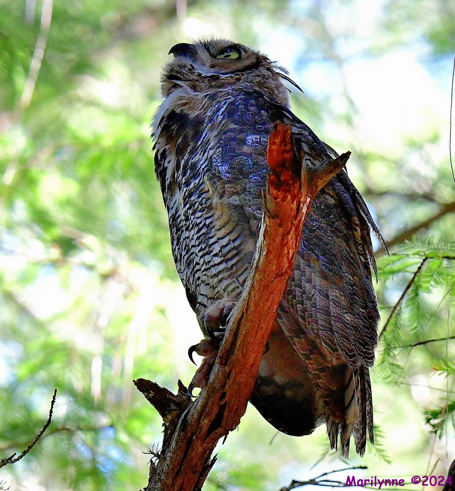 DSC_0507_001.JPG