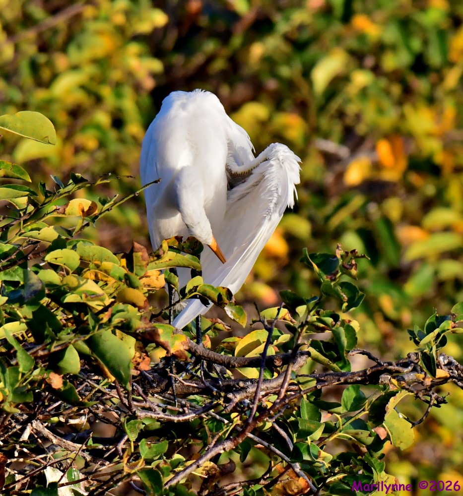 DSC_0507_001.JPG