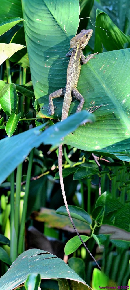 DSC_0507_stitch3_001.JPG