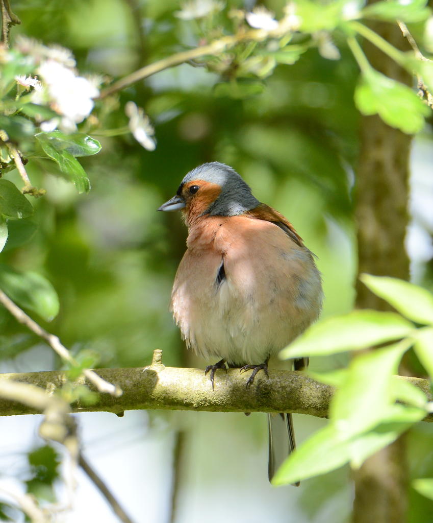 DSC_0514.jpg