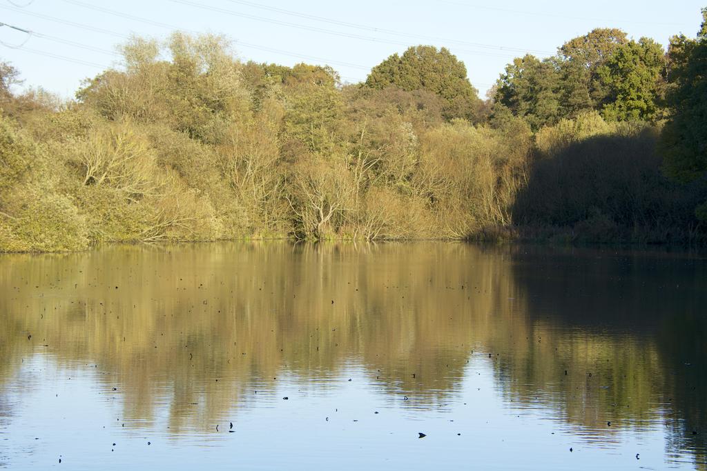 DSC_0514.jpg