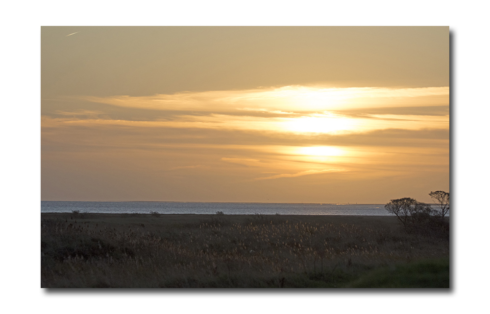 DSC_0524.jpg