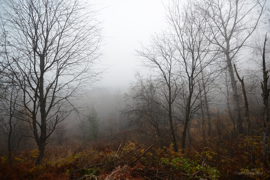 DSC_0525.jpg