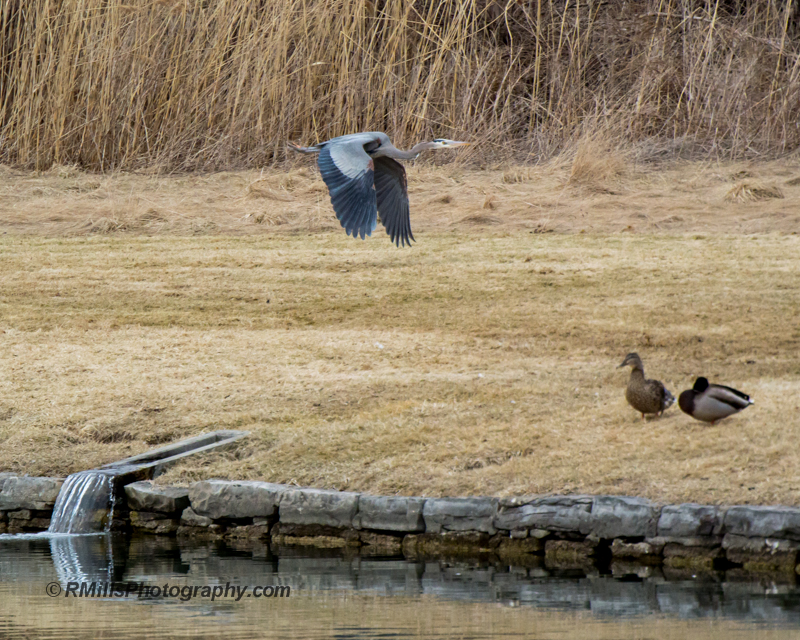 DSC_0525_9945.jpg