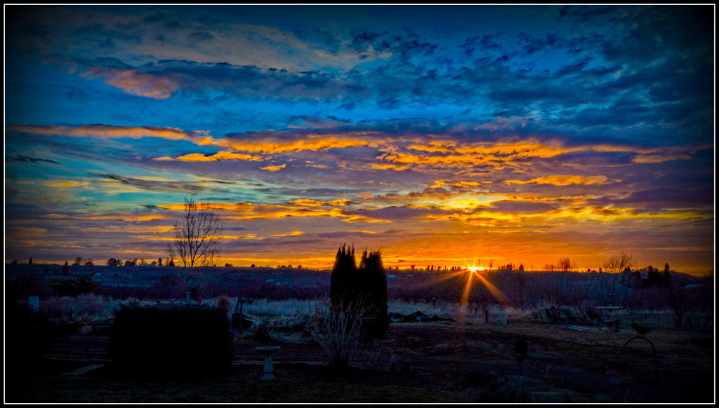DSC_0534-Edit.jpg