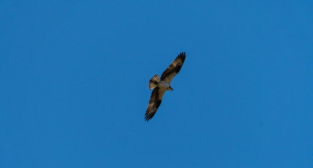 DSC_0539.jpg