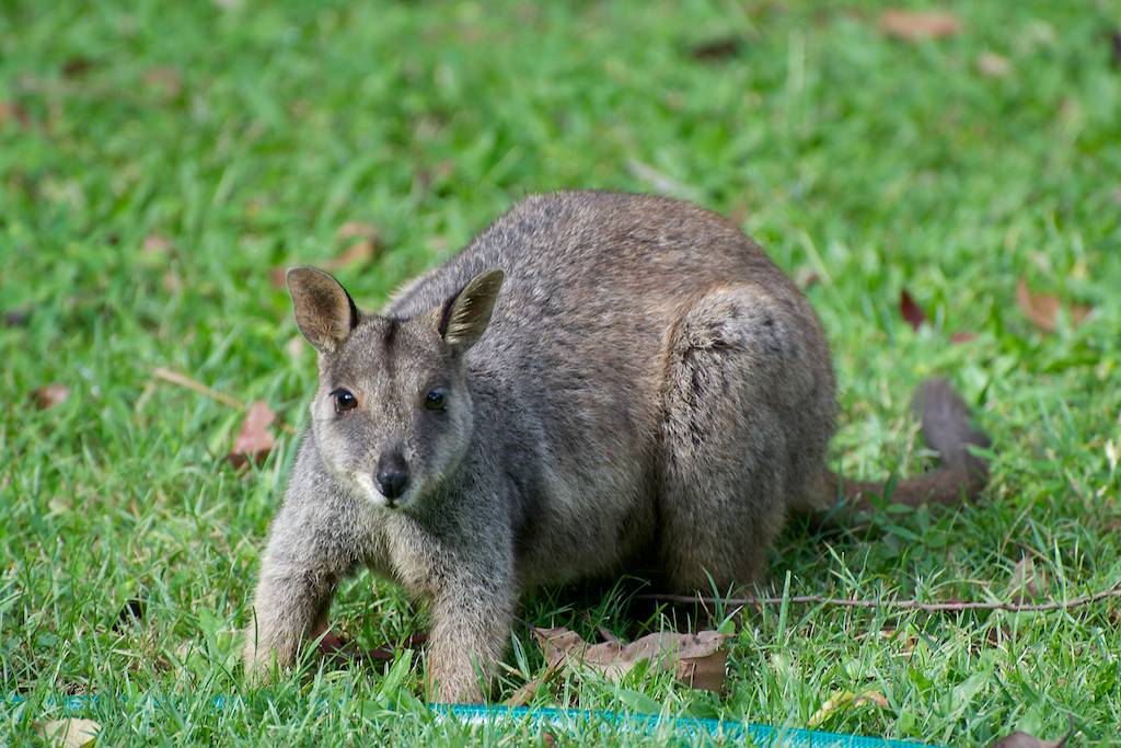 DSC_0546.jpg