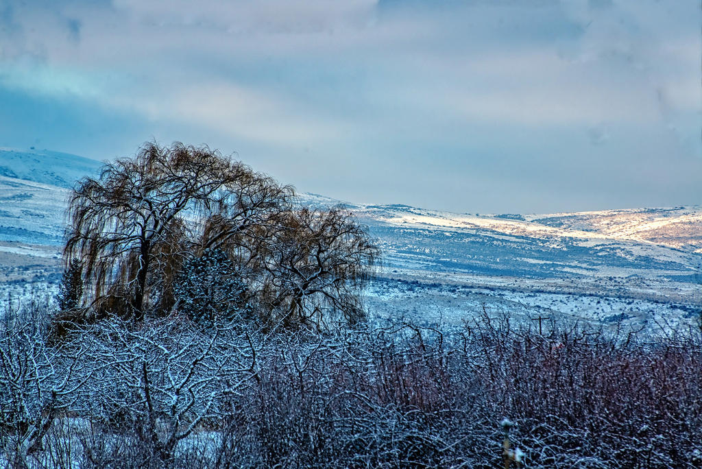 DSC_0548-Edit.jpg