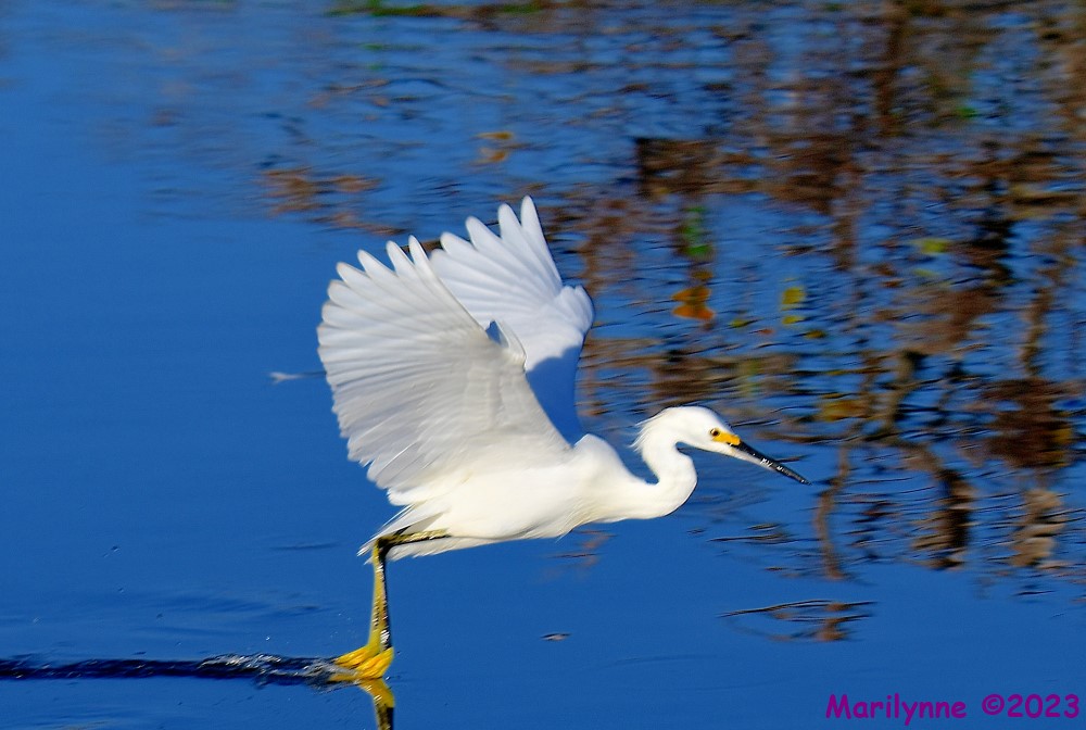 DSC_0551_001.JPG