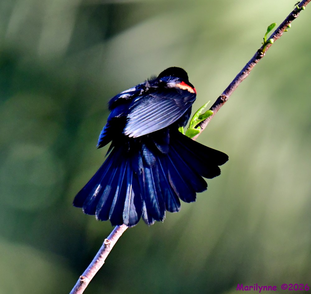 DSC_0551_001.JPG