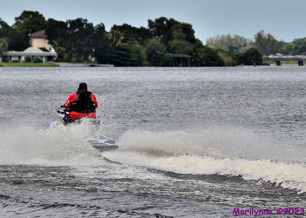 DSC_0554_001.JPG