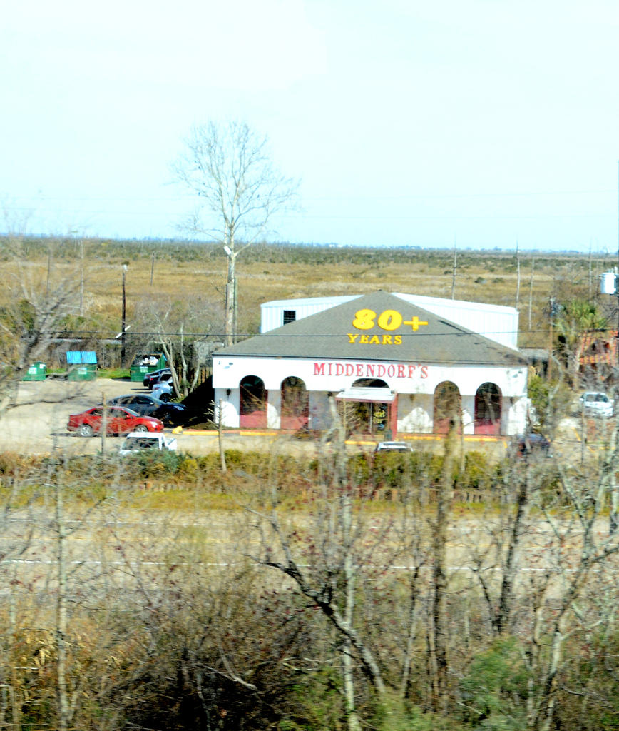 DSC_0555.jpg
