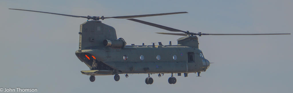 DSC_0556.jpg