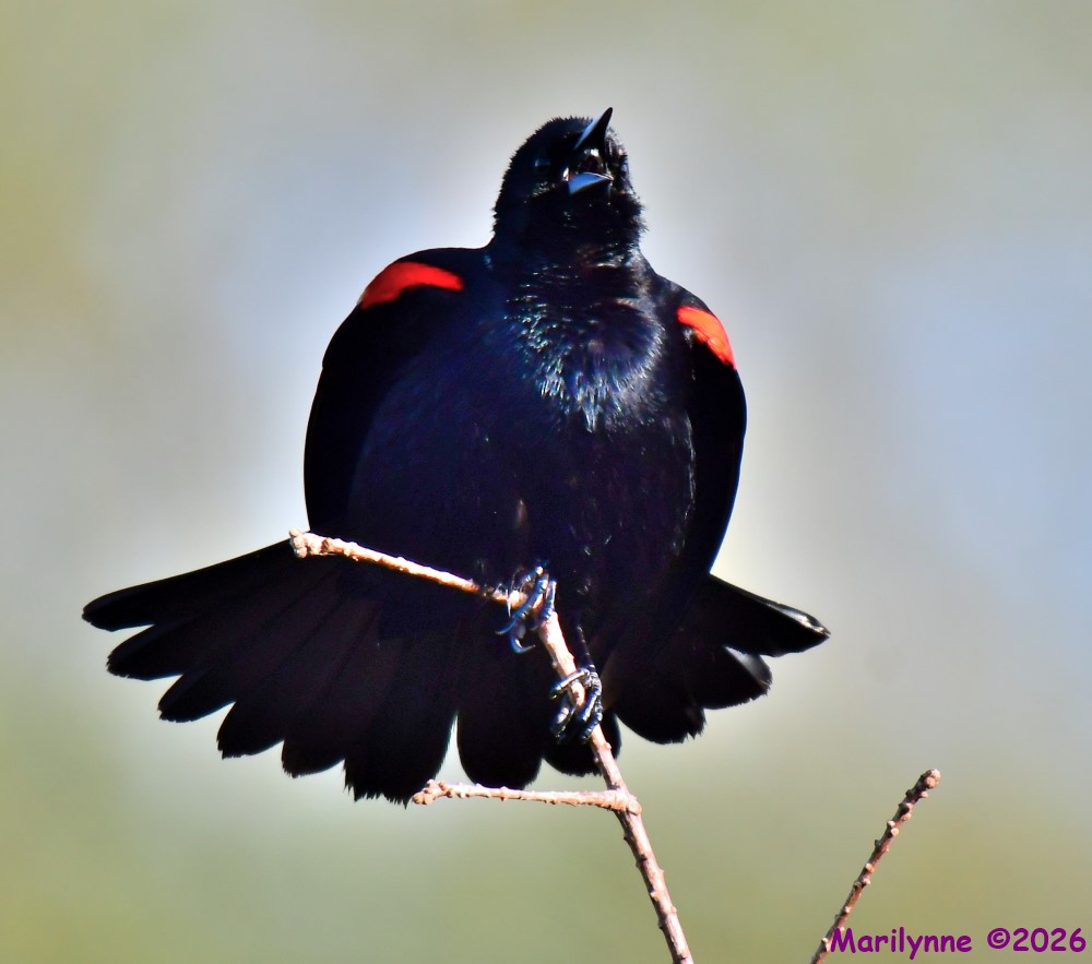 DSC_0556_001.JPG
