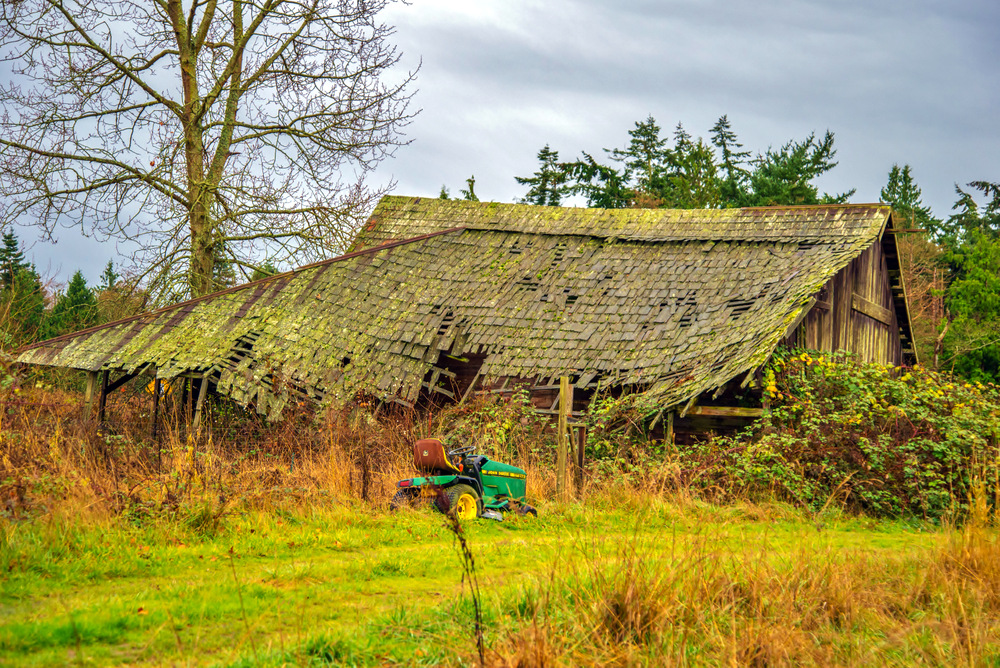 DSC_0557.jpg