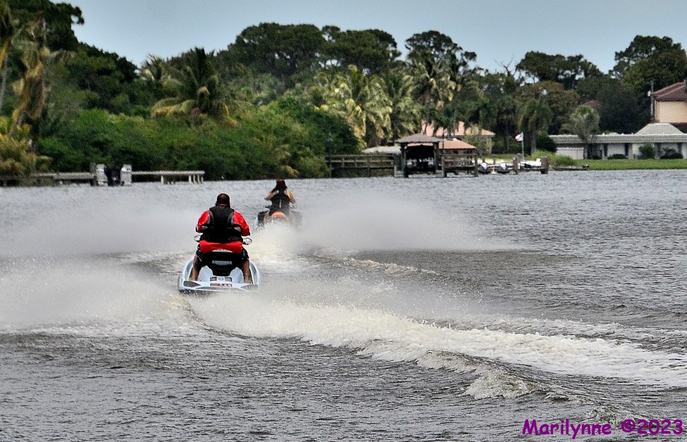 DSC_0557_001.JPG