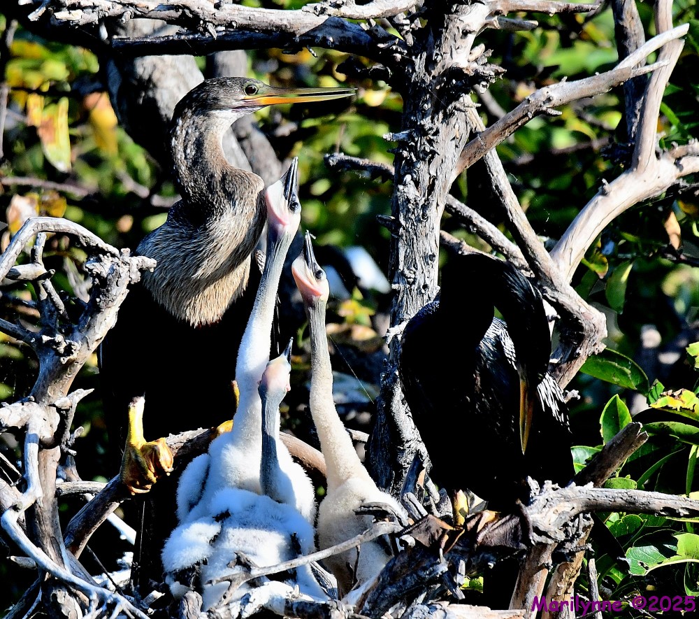 DSC_0559_001.JPG