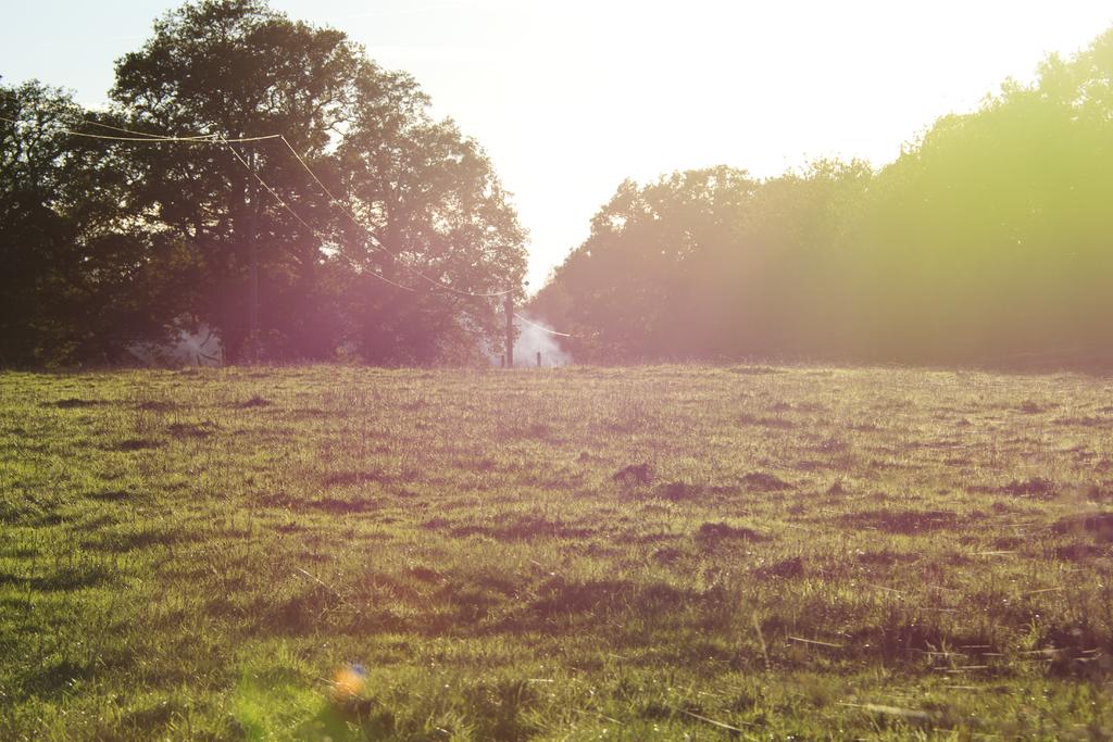 DSC_0562.jpg