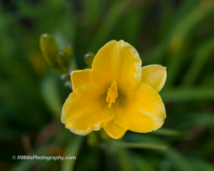 DSC_0562_3935-2.jpg