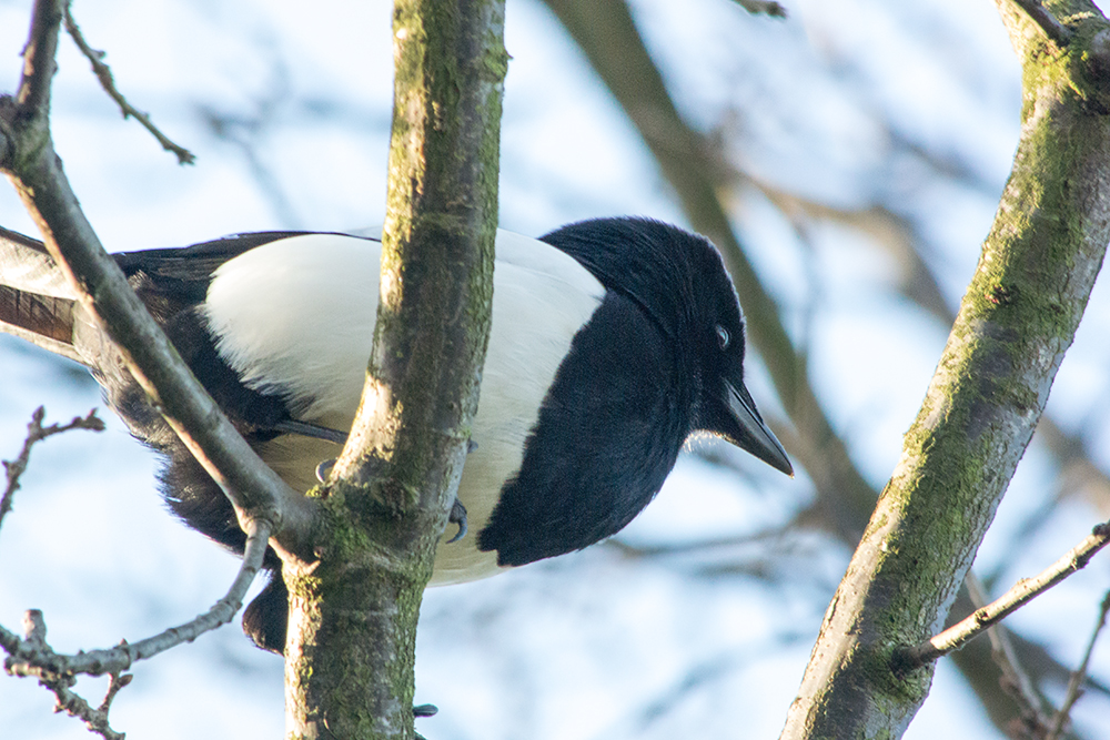 DSC_0563.jpg