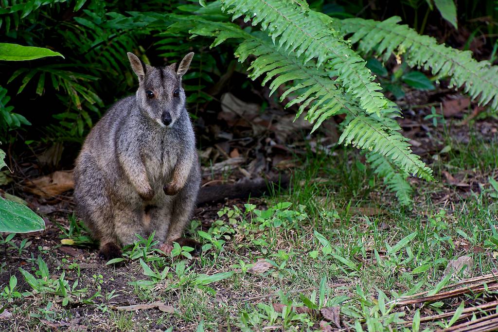 DSC_0563.jpg