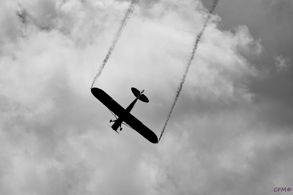 DSC_0563 nxd bw.jpg