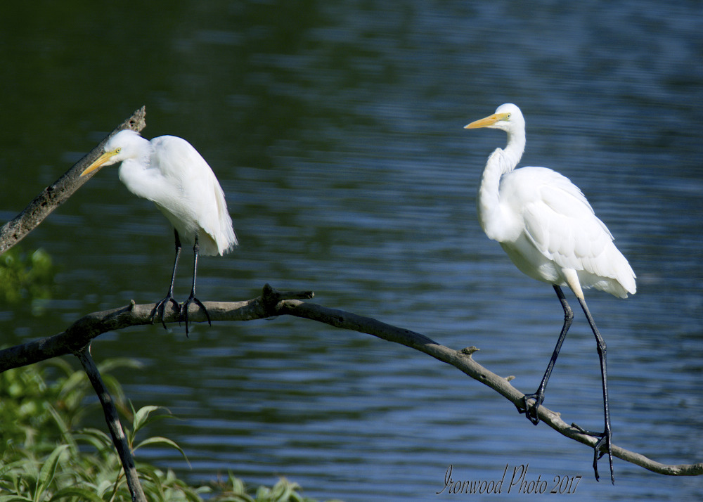 DSC_0566.jpg