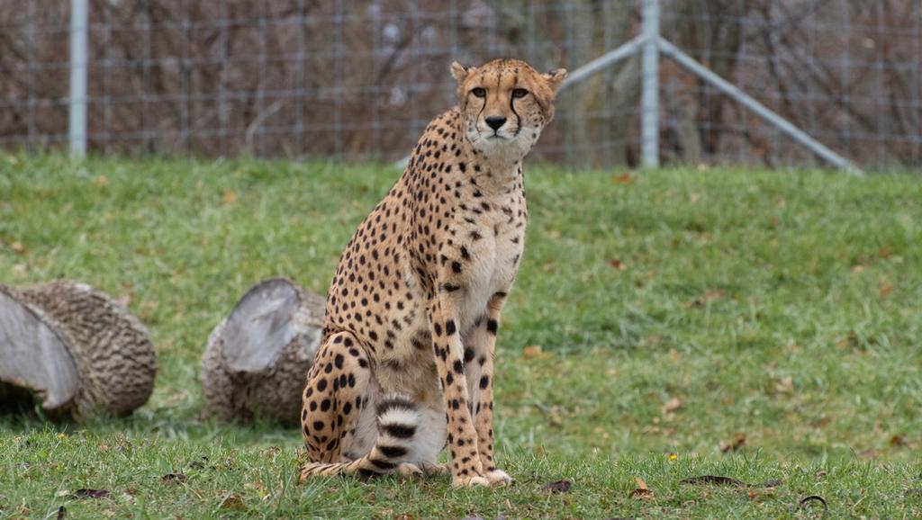 DSC_0566.jpg