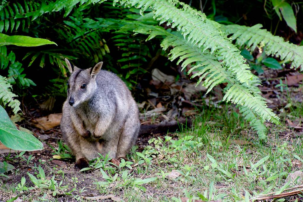 DSC_0566.jpg