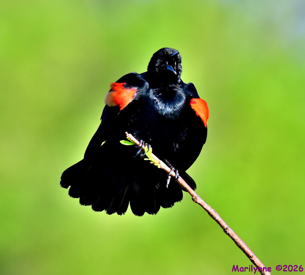 DSC_0567_001.JPG