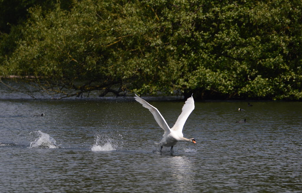 DSC_0568.jpg