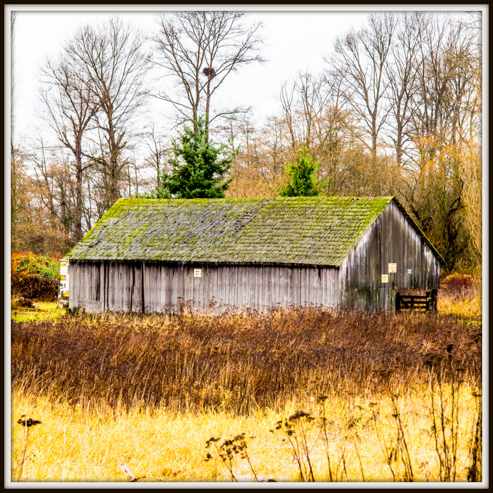 DSC_0571.jpg
