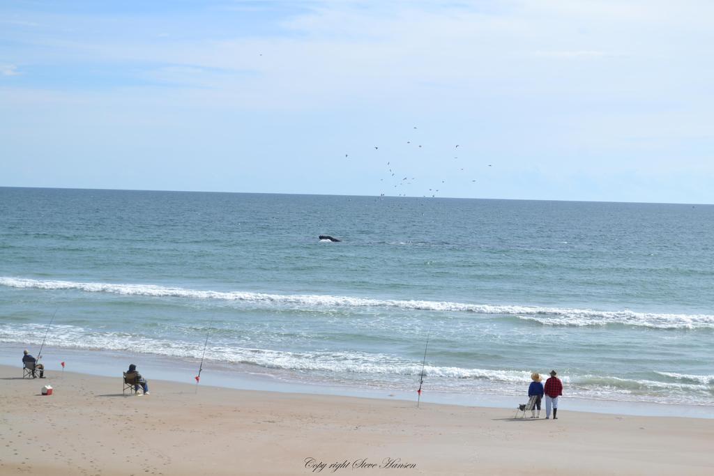 DSC_0572.jpg