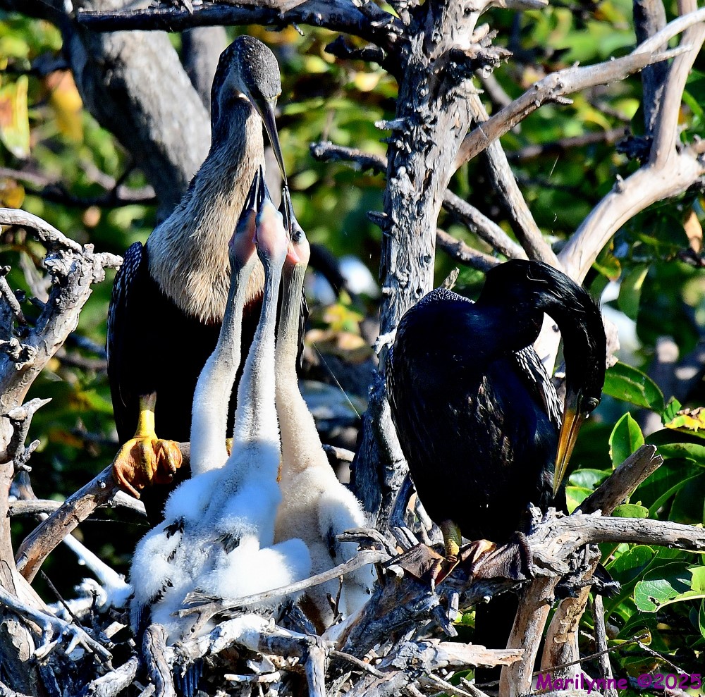 DSC_0573_001.JPG