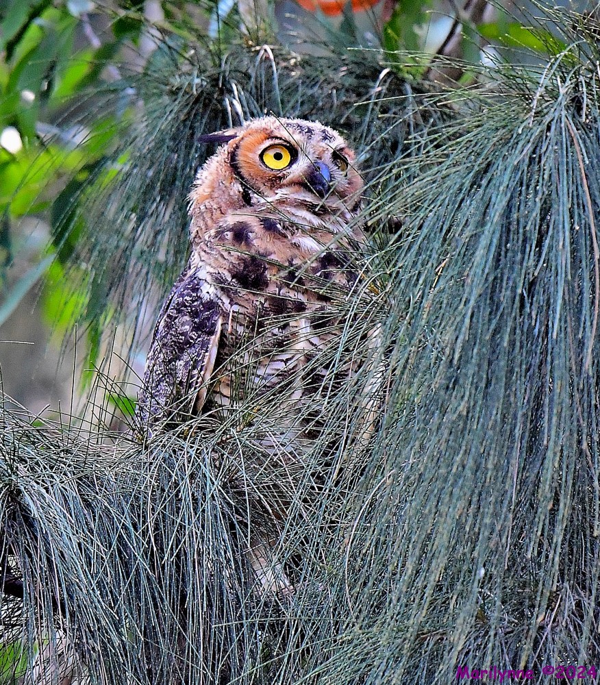 DSC_0574_001.JPG