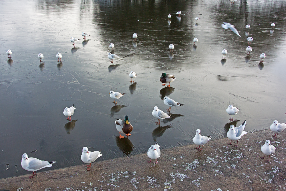 DSC_0583.jpg