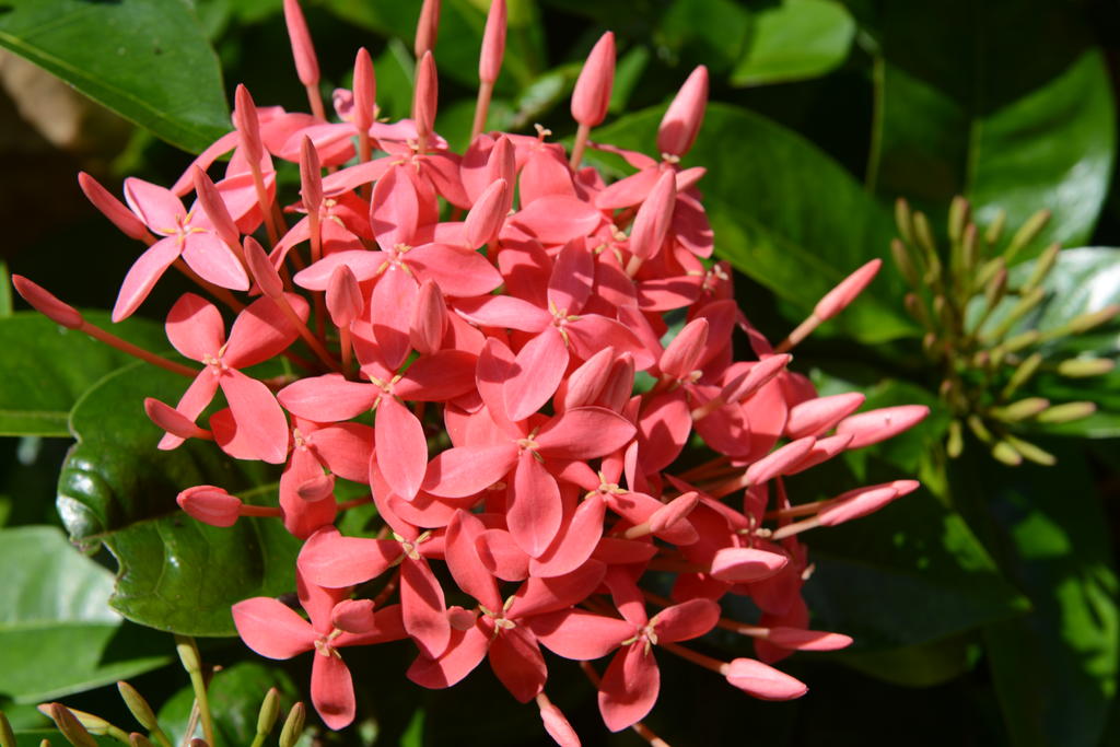 DSC_0583.jpg