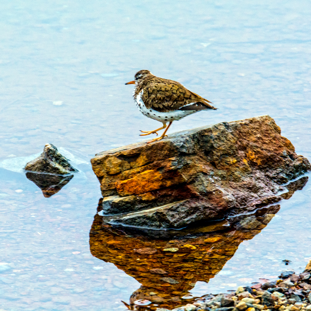 DSC_0590-Edit.jpg