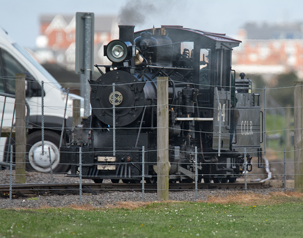 DSC_0590.jpg