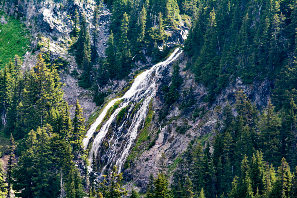DSC_0599-001.jpg