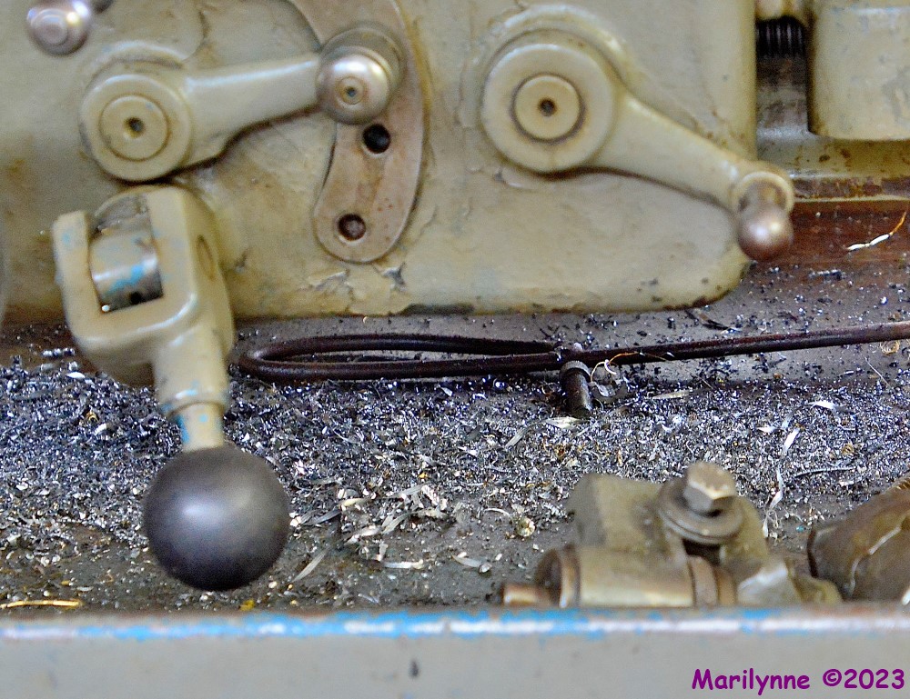 DSC_0599_001.JPG