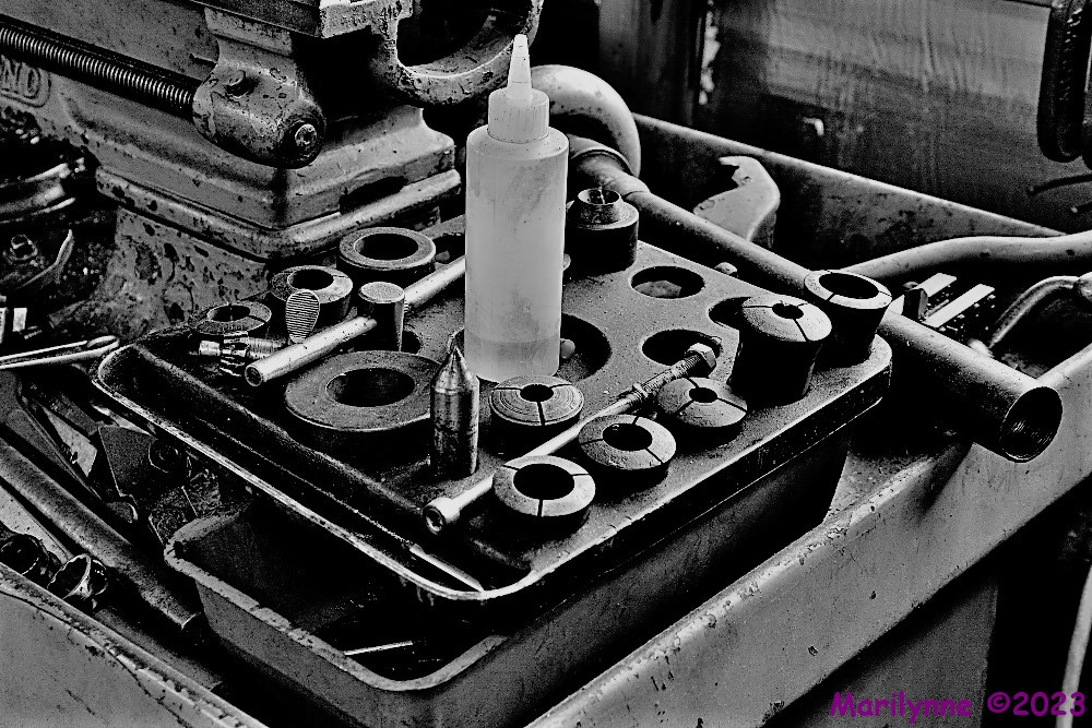 DSC_0600_001.JPG