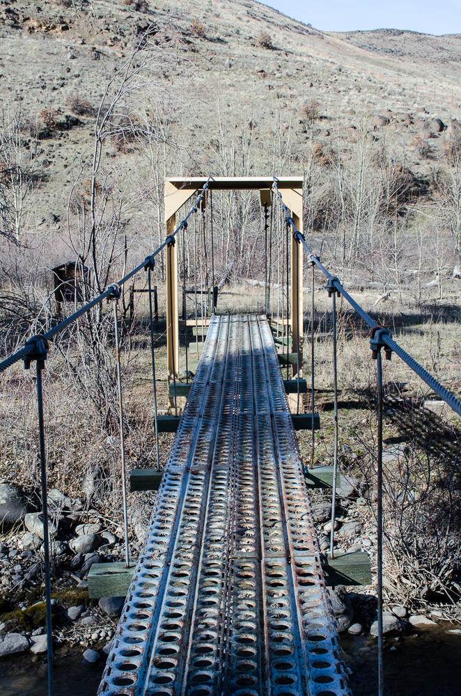 DSC_0606.jpg