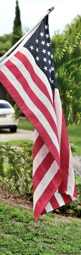 DSC_0606_stitch5_001.JPG