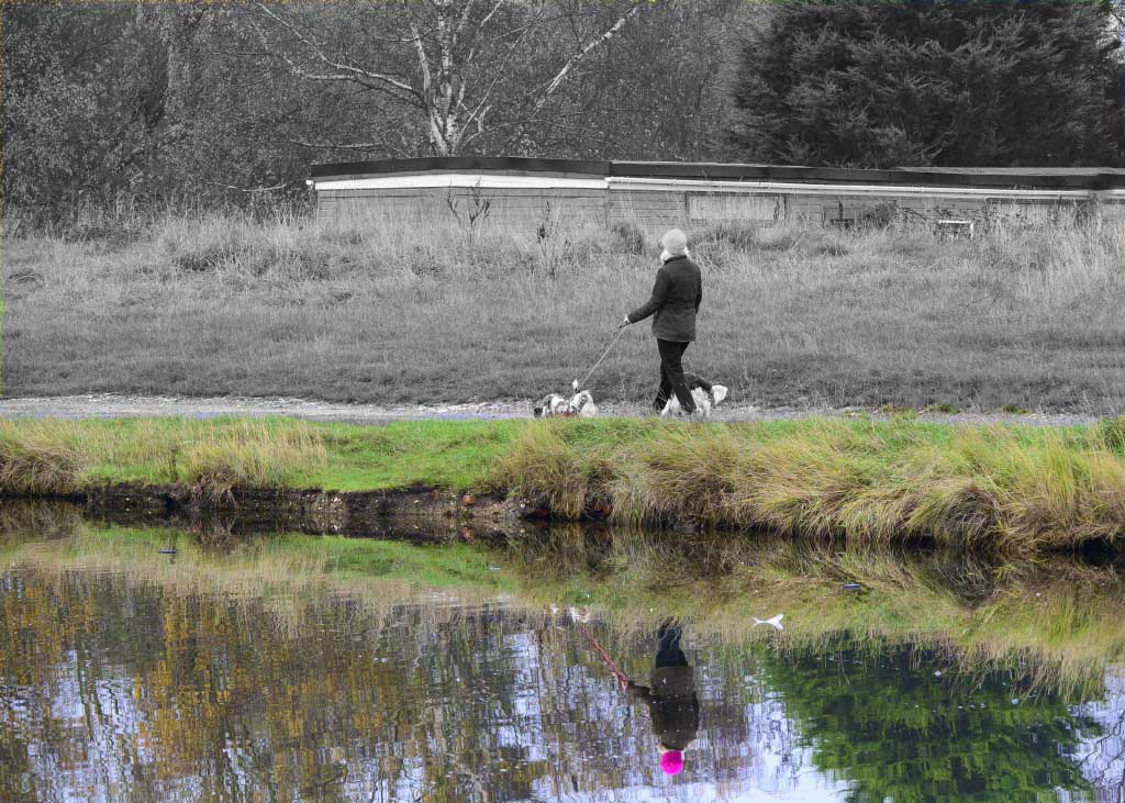 DSC_0606oo.jpg