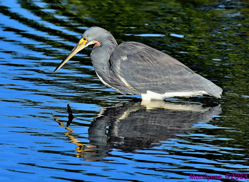 DSC_0611_001.JPG